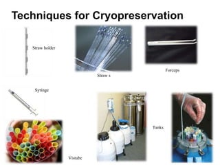 Straw holder
Straw s
Forceps
Syringe
Vistube
Techniques for Cryopreservation
Tanks
 