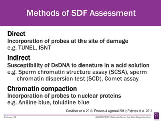 Sdf Method Sperm DNA Fragmentation from the Male Infertility Specialist's ...