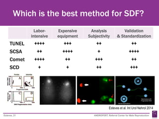 Sdf Method Sperm DNA Fragmentation from the Male Infertility Specialist's ...