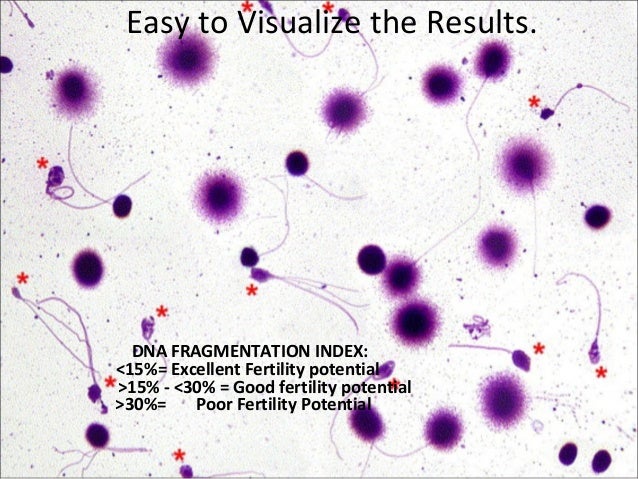 Peeing porn videos movies girls Adding genetics to sperm