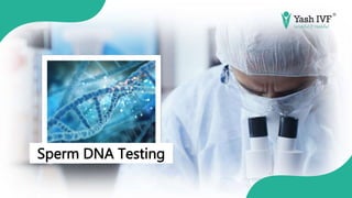 Sperm DNA Testing
 