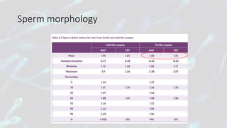 Sperm morphology
 