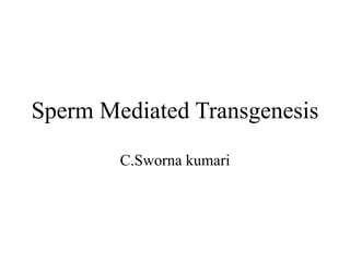Sperm Mediated Transgenesis
C.Sworna kumari
 