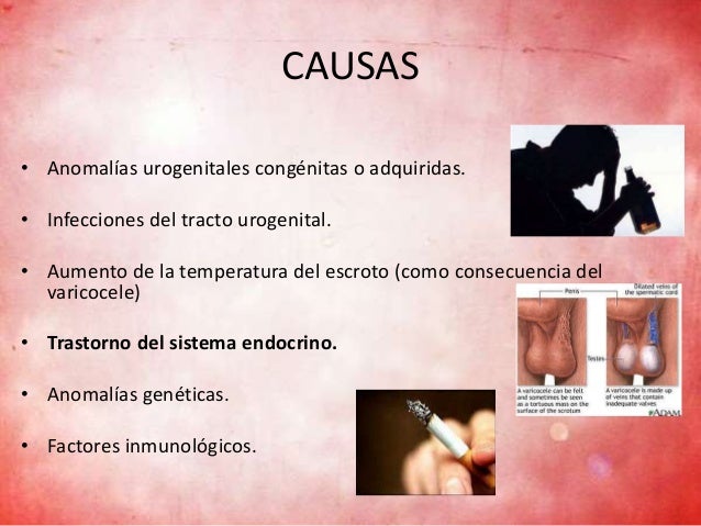 Spermotrend el mejor tratamiento para Infertilidad Masculina