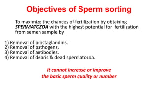 Objectives of Sperm sorting
To maximize the chances of fertilization by obtaining
SPERMATOZOA with the highest potential for fertilization
from semen sample by
1) Removal of prostaglandins.
2) Removal of pathogens.
3) Removal of antibodies.
4) Removal of debris & dead spermatozoa.
It cannot increase or improve
the basic sperm quality or number
 