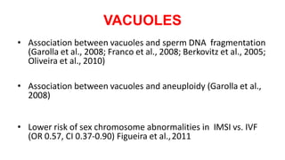 VACUOLES
• Association between vacuoles and sperm DNA fragmentation
(Garolla et al., 2008; Franco et al., 2008; Berkovitz et al., 2005;
Oliveira et al., 2010)
• Association between vacuoles and aneuploidy (Garolla et al.,
2008)
• Lower risk of sex chromosome abnormalities in IMSI vs. IVF
(OR 0.57, CI 0.37-0.90) Figueira et al.,2011
 