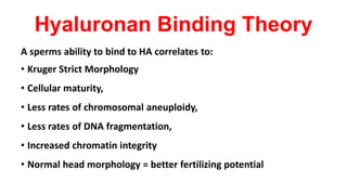 Hyaluronan Binding Theory
A sperms ability to bind to HA correlates to:
• Kruger Strict Morphology
• Cellular maturity,
• Less rates of chromosomal aneuploidy,
• Less rates of DNA fragmentation,
• Increased chromatin integrity
• Normal head morphology = better fertilizing potential
 