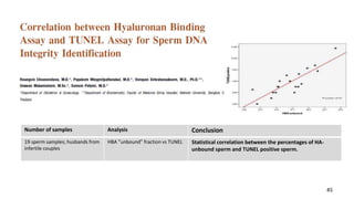45
Number of samples Analysis Conclusion
19 sperm samples; husbands from
infertile couples
HBA ”unbound” fraction vs TUNEL Statistical correlation between the percentages of HA-
unbound sperm and TUNEL positive sperm.
 