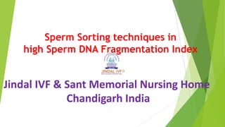 Sperm Sorting techniques in
high Sperm DNA Fragmentation Index
Jindal IVF & Sant Memorial Nursing Home
Chandigarh India
 