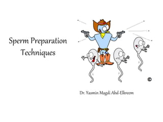 Sperm Preparation
Techniques
Dr. Yasmin Magdi Abd-Elkreem
 