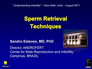 Sperm Retrieval  Techniques “Understanding Infertility” – New Delhi, India – August 2011 SandroEsteves, MD, PhD Director, ANDROFERT Center for Male Reproduction and Infertility Campinas, BRAZIL Esteves, 1 