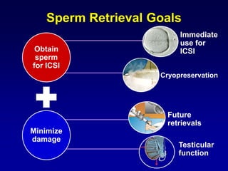 Sperm Retrieval Goals
                          Immediate
                          use for
 Obtain                   ICSI
 sperm
for ICSI
                     Cryopreservation




                      Future
                      retrievals
Minimize
damage
                          Testicular
                          function
 