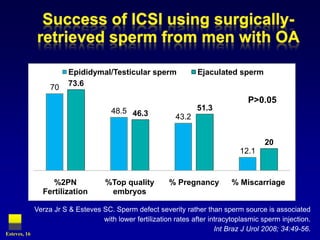 Epididymal/Testicular sperm               Ejaculated sperm
                   70    73.6

                                                                                    P>0.05
                                       48.5 46.3                   51.3
                                                            43.2


                                                                                         20
                                                                                 12.1


                   %2PN              %Top quality         % Pregnancy         % Miscarriage
                Fertilization         embryos

              Verza Jr S & Esteves SC. Sperm defect severity rather than sperm source is associated
                                   with lower fertilization rates after intracytoplasmic sperm injection.
                                                                          Int Braz J Urol 2008; 34:49-56.
Esteves, 16
 