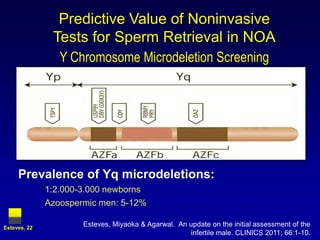 Predictive Value of Noninvasive
               Tests for Sperm Retrieval in NOA
                 Y Chromosome Microdeletion Screening




     Prevalence of Yq microdeletions:
              1:2.000-3.000 newborns
              Azoospermic men: 5-12%

Esteves, 22
                      Esteves, Miyaoka & Agarwal. An update on the initial assessment of the
                                                     infertile male. CLINICS 2011; 66:1-10.
 