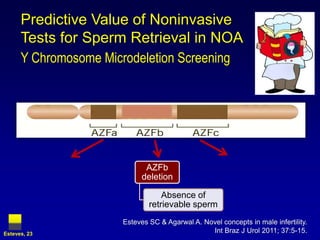 Predictive Value of Noninvasive
      Tests for Sperm Retrieval in NOA
      Y Chromosome Microdeletion Screening




                              AZFb
                             deletion

                                   Absence of
                               retrievable sperm
                       Esteves SC & Agarwal A. Novel concepts in male infertility.
Esteves, 23
                                                 Int Braz J Urol 2011; 37:5-15.
 