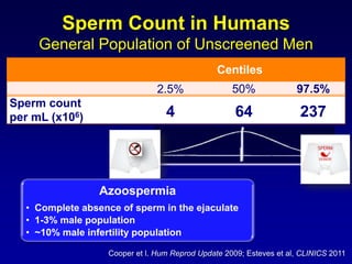 Sperm Count in Humans
     General Population of Unscreened Men
                                                Centiles
                                2.5%                50%              97.5%
Sperm count
per mL (x106)                     4                  64               237



                 Azoospermia
  • Complete absence of sperm in the ejaculate
  • 1-3% male population
  • ~10% male infertility population

                   Cooper et l. Hum Reprod Update 2009; Esteves et al, CLINICS 2011
 