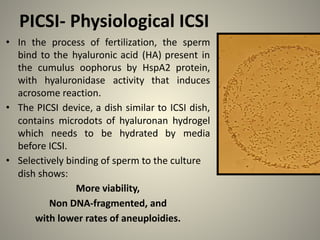 PICSI- Physiological ICSI
• In the process of fertilization, the sperm
bind to the hyaluronic acid (HA) present in
the cumulus oophorus by HspA2 protein,
with hyaluronidase activity that induces
acrosome reaction.
• The PICSI device, a dish similar to ICSI dish,
contains microdots of hyaluronan hydrogel
which needs to be hydrated by media
before ICSI.
• Selectively binding of sperm to the culture
dish shows:
More viability,
Non DNA-fragmented, and
with lower rates of aneuploidies.
 