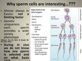 Why sperm cells are interesting…???
• Almost always in
Excess: not a
limiting factor
• Genetic
uniqueness in
each sperm
provides a wide
variety of
phenotype
(Wang J, Fan HC, Behr B, Quake SR.
The Cell. 2012 )
• During in vivo
we do not know
how one sperm
is selected and
on what basis
 