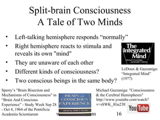 Roger Sperry and the Age of the Brain | PPT