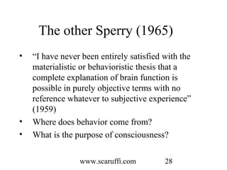 Roger Sperry and the Age of the Brain