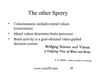 Roger Sperry and the Age of the Brain