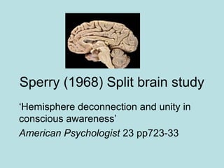 Sperry (1968) Split brain study
‘Hemisphere deconnection and unity in
conscious awareness’
American Psychologist 23 pp723-33
 