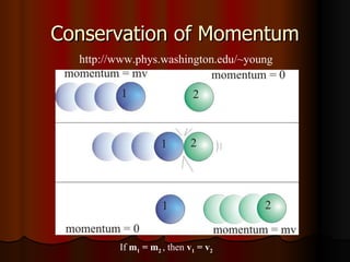 Conservation of Momentum If  m 1  = m 2   , then  v 1  = v 2 http://www.phys.washington.edu/~young 