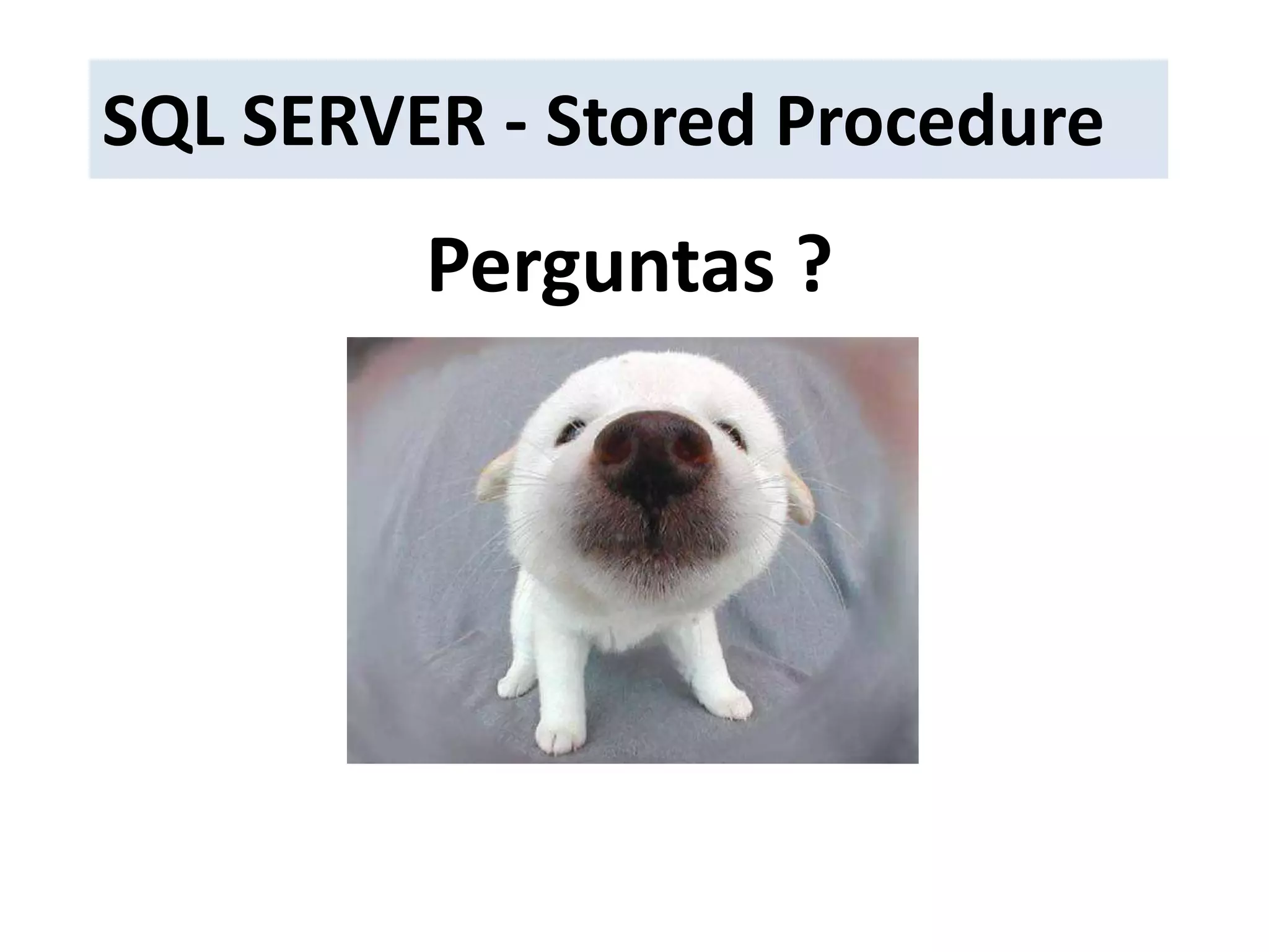  Criação de um repositório unificado dos códigos SQL