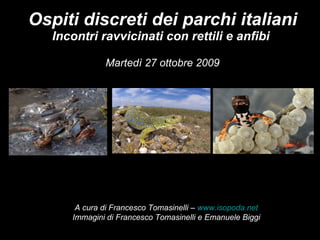 Ospiti discreti dei parchi italiani Incontri ravvicinati con rettili e anfibi  Martedì 27 ottobre 2009 A cura di Francesco Tomasinelli –  www.isopoda.net Immagini di Francesco Tomasinelli e Emanuele Biggi 