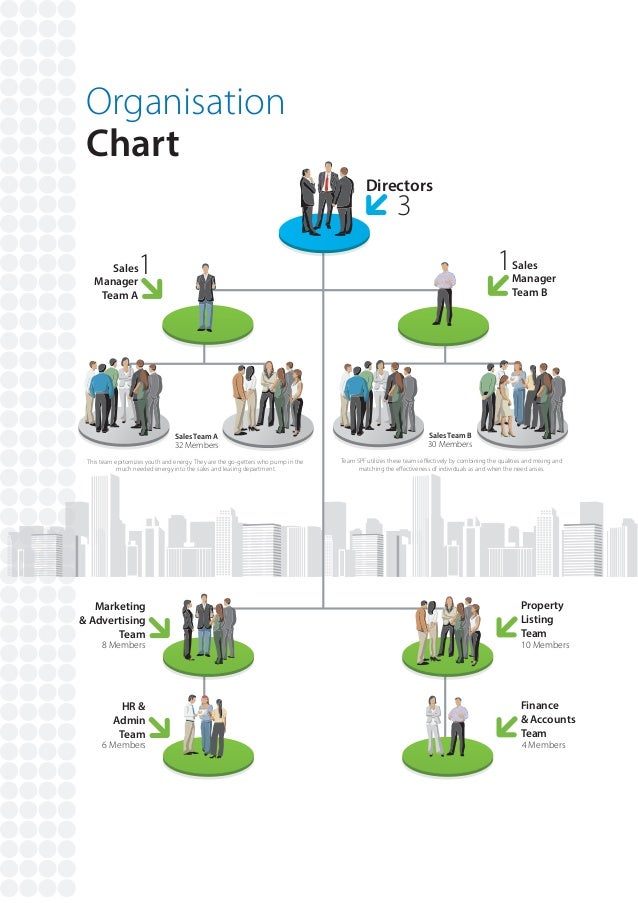 Real Estate Org Chart