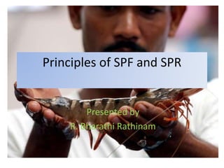 Principles of SPF and SPR
Presented by
R. Bharathi Rathinam
 