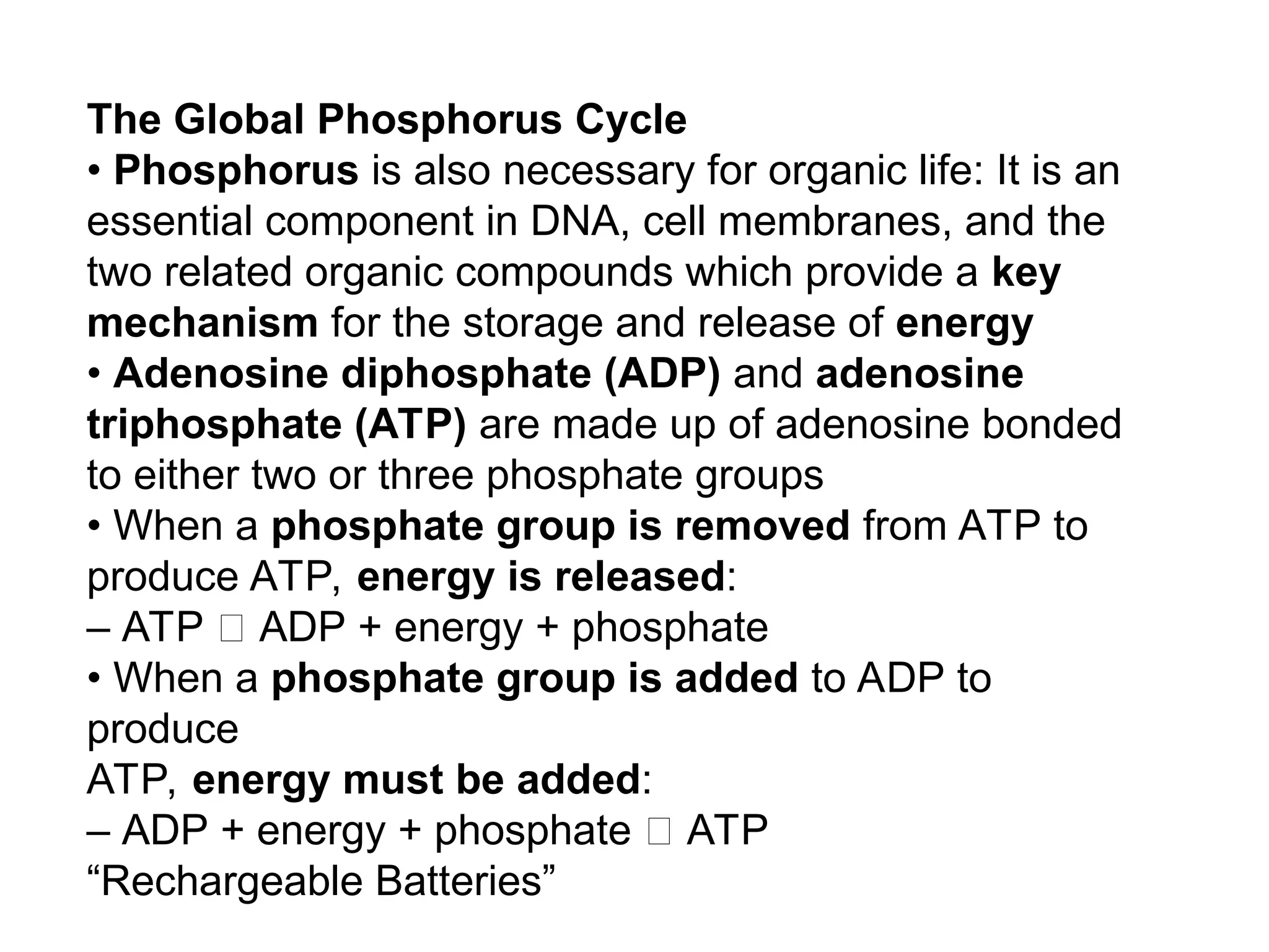 The Global Phosphorus Cycle
• Phosphorus is also necessary for organic life: It is an
essential component in DNA, cell membranes, and the
two related organic compounds which provide a key
mechanism for the storage and release of energy
• Adenosine diphosphate (ADP) and adenosine
triphosphate (ATP) are made up of adenosine bonded
to either two or three phosphate groups
• When a phosphate group is removed from ATP to
produce ATP, energy is released:
– ATP 􀃆 ADP + energy + phosphate
• When a phosphate group is added to ADP to
produce
ATP, energy must be added:
– ADP + energy + phosphate 􀃆 ATP
“Rechargeable Batteries”
 