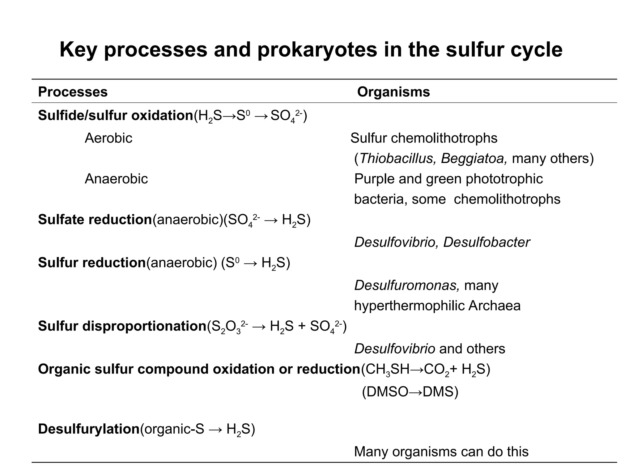 Key processes and prokaryotes in the sulfur cycle
Processes Organisms
Sulfide/sulfur oxidation(H2S→S0
→ SO4
2-
)
Aerobic Sulfur chemolithotrophs
(Thiobacillus, Beggiatoa, many others)
Anaerobic Purple and green phototrophic
bacteria, some chemolithotrophs
Sulfate reduction(anaerobic)(SO4
2-
→ H2S)
Desulfovibrio, Desulfobacter
Sulfur reduction(anaerobic) (S0
→ H2S)
Desulfuromonas, many
hyperthermophilic Archaea
Sulfur disproportionation(S2O3
2-
→ H2S + SO4
2-
)
Desulfovibrio and others
Organic sulfur compound oxidation or reduction(CH3SH→CO2+ H2S)
(DMSO→DMS)
Desulfurylation(organic-S → H2S)
Many organisms can do this
 