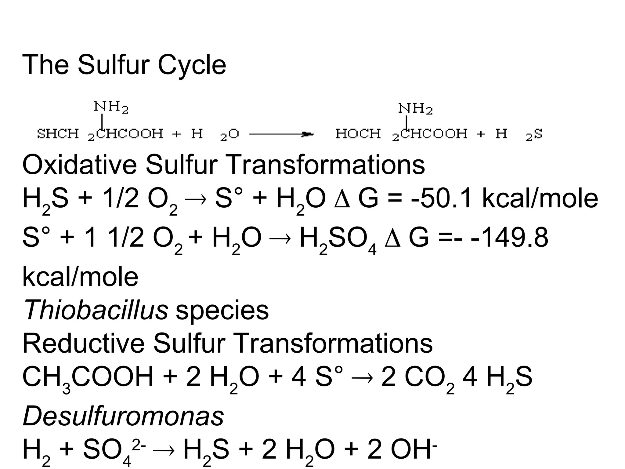 The Sulfur Cycle
Oxidative Sulfur Transformations
H2
S + 1/2 O2
 S° + H2
O  G = -50.1 kcal/mole
S° + 1 1/2 O2
+ H2
O  H2
SO4
 G =- -149.8
kcal/mole
Thiobacillus species
Reductive Sulfur Transformations
CH3
COOH + 2 H2
O + 4 S°  2 CO2
4 H2
S
Desulfuromonas
H2
+ SO4
2-
 H2
S + 2 H2
O + 2 OH-
 