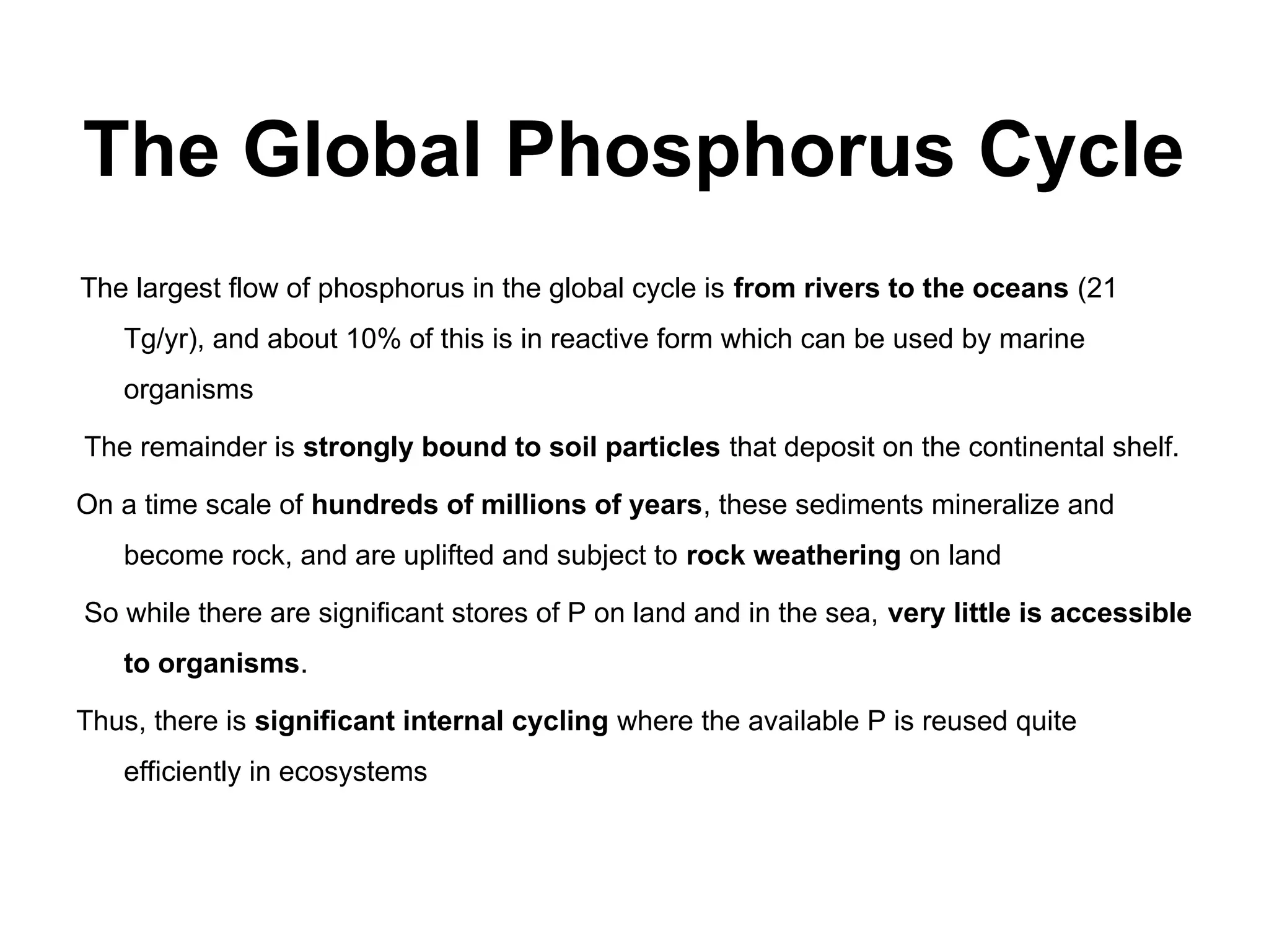 The Global Phosphorus Cycle
The largest flow of phosphorus in the global cycle is from rivers to the oceans (21
Tg/yr), and about 10% of this is in reactive form which can be used by marine
organisms
The remainder is strongly bound to soil particles that deposit on the continental shelf.
On a time scale of hundreds of millions of years, these sediments mineralize and
become rock, and are uplifted and subject to rock weathering on land
So while there are significant stores of P on land and in the sea, very little is accessible
to organisms.
Thus, there is significant internal cycling where the available P is reused quite
efficiently in ecosystems
 