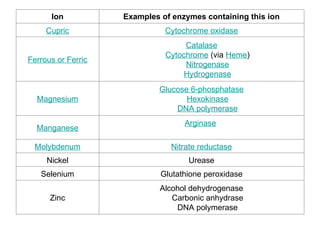 Ion Examples of enzymes containing this ion
Cupric Cytochrome oxidase
Ferrous or Ferric
Catalase
Cytochrome (via Heme)
Nitrogenase
Hydrogenase
Magnesium
Glucose 6-phosphatase
Hexokinase
DNA polymerase
Manganese
Arginase
Molybdenum Nitrate reductase
Nickel Urease
Selenium Glutathione peroxidase
Zinc
Alcohol dehydrogenase
Carbonic anhydrase
DNA polymerase
 