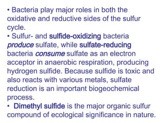 • Bacteria play major roles in both the
oxidative and reductive sides of the sulfur
cycle.
• Sulfur- and sulfide-oxidizing bacteria
produce sulfate, while sulfate-reducing
bacteria consume sulfate as an electron
acceptor in anaerobic respiration, producing
hydrogen sulfide. Because sulfide is toxic and
also reacts with various metals, sulfate
reduction is an important biogeochemical
process.
• Dimethyl sulfide is the major organic sulfur
compound of ecological significance in nature.
 