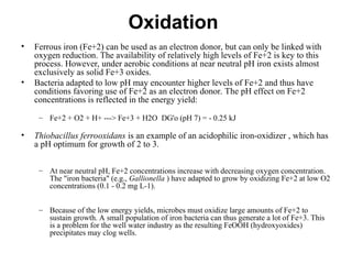 Oxidation
• Ferrous iron (Fe+2) can be used as an electron donor, but can only be linked with
oxygen reduction. The availability of relatively high levels of Fe+2 is key to this
process. However, under aerobic conditions at near neutral pH iron exists almost
exclusively as solid Fe+3 oxides.
• Bacteria adapted to low pH may encounter higher levels of Fe+2 and thus have
conditions favoring use of Fe+2 as an electron donor. The pH effect on Fe+2
concentrations is reflected in the energy yield:
– Fe+2 + O2 + H+ ---> Fe+3 + H2O DG'o (pH 7) = - 0.25 kJ
• Thiobacillus ferrooxidans is an example of an acidophilic iron-oxidizer , which has
a pH optimum for growth of 2 to 3.
– At near neutral pH, Fe+2 concentrations increase with decreasing oxygen concentration.
The "iron bacteria" (e.g., Gallionella ) have adapted to grow by oxidizing Fe+2 at low O2
concentrations (0.1 - 0.2 mg L-1).
– Because of the low energy yields, microbes must oxidize large amounts of Fe+2 to
sustain growth. A small population of iron bacteria can thus generate a lot of Fe+3. This
is a problem for the well water industry as the resulting FeOOH (hydroxyoxides)
precipitates may clog wells.
 