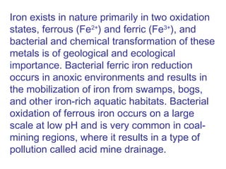 Iron exists in nature primarily in two oxidation
states, ferrous (Fe2+
) and ferric (Fe3+
), and
bacterial and chemical transformation of these
metals is of geological and ecological
importance. Bacterial ferric iron reduction
occurs in anoxic environments and results in
the mobilization of iron from swamps, bogs,
and other iron-rich aquatic habitats. Bacterial
oxidation of ferrous iron occurs on a large
scale at low pH and is very common in coal-
mining regions, where it results in a type of
pollution called acid mine drainage.
 