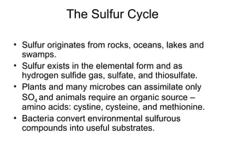 The Sulfur Cycle
• Sulfur originates from rocks, oceans, lakes and
swamps.
• Sulfur exists in the elemental form and as
hydrogen sulfide gas, sulfate, and thiosulfate.
• Plants and many microbes can assimilate only
SO4 and animals require an organic source –
amino acids: cystine, cysteine, and methionine.
• Bacteria convert environmental sulfurous
compounds into useful substrates.
 