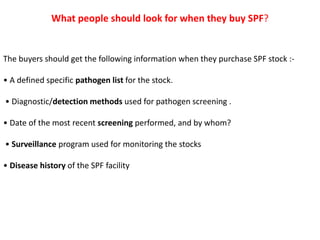 What people should look for when they buy SPF?
The buyers should get the following information when they purchase SPF stock :-
• A defined specific pathogen list for the stock.
• Diagnostic/detection methods used for pathogen screening .
• Date of the most recent screening performed, and by whom?
• Surveillance program used for monitoring the stocks
• Disease history of the SPF facility
 