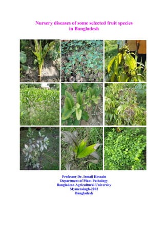Nursery diseases of some selected fruit species
in Bangladesh
Professor Dr. Ismail Hossain
Department of Plant Pathology
Bangladesh Agricultural University
Mymensingh-2202
Bangladesh
 