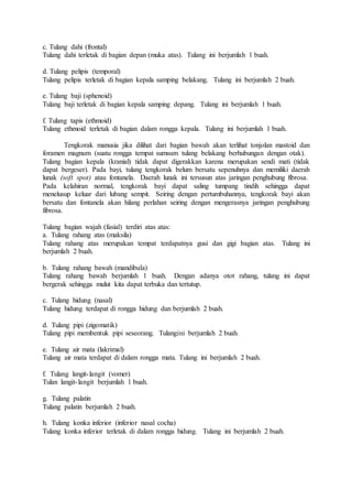 c. Tulang dahi (frontal)
Tulang dahi terletak di bagian depan (muka atas). Tulang ini berjumlah 1 buah.
d. Tulang pelipis (temporal)
Tulang pelipis terletak di bagian kepala samping belakang. Tulang ini berjumlah 2 buah.
e. Tulang baji (sphenoid)
Tulang baji terletak di bagian kepala samping depang. Tulang ini berjumlah 1 buah.
f. Tulang tapis (ethmoid)
Tulang ethmoid terletak di bagian dalam rongga kepala. Tulang ini berjumlah 1 buah.
Tengkorak manusia jika dilihat dari bagian bawah akan terlihat tonjolan mastoid dan
foramen magnum (suatu rongga tempat sumsum tulang belakang berhubungan dengan otak).
Tulang bagian kepala (kranial) tidak dapat digerakkan karena merupakan sendi mati (tidak
dapat bergeser). Pada bayi, tulang tengkorak belum bersatu sepenuhnya dan memiliki daerah
lunak (soft spot) atau fontanela. Daerah lunak ini tersusun atas jaringan penghubung fibrosa.
Pada kelahiran normal, tengkorak bayi dapat saling tumpang tindih sehingga dapat
menelusup keluar dari lubang sempit. Seiring dengan pertumbuhannya, tengkorak bayi akan
bersatu dan fontanela akan hilang perlahan seiring dengan mengerasnya jaringan penghubung
fibrosa.
Tulang bagian wajah (fasial) terdiri atas atas:
a. Tulang rahang atas (maksila)
Tulang rahang atas merupakan tempat terdapatnya gusi dan gigi bagian atas. Tulang ini
berjumlah 2 buah.
b. Tulang rahang bawah (mandibula)
Tulang rahang bawah berjumlah 1 buah. Dengan adanya otot rahang, tulang ini dapat
bergerak sehingga mulut kita dapat terbuka dan tertutup.
c. Tulang hidung (nasal)
Tulang hidung terdapat di rongga hidung dan berjumlah 2 buah.
d. Tulang pipi (zigomatik)
Tulang pipi membentuk pipi seseorang. Tulangini berjumlah 2 buah.
e. Tulang air mata (lakrimal)
Tulang air mata terdapat di dalam rongga mata. Tulang ini berjumlah 2 buah.
f. Tulang langit-langit (vomer)
Tulan langit-langit berjumlah 1 buah.
g. Tulang palatin
Tulang palatin berjumlah 2 buah.
h. Tulang konka inferior (inferior nasal cocha)
Tulang konka inferior terletak di dalam rongga hidung. Tulang ini berjumlah 2 buah.
 