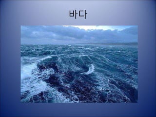 바다
 