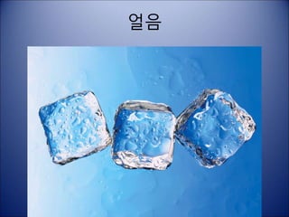 얼음
 