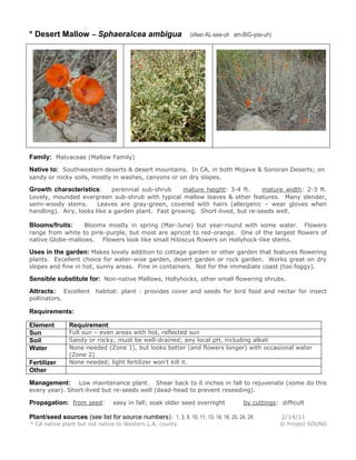 * Desert Mallow – Sphaeralcea ambigua

(sfeer-AL-see-uh am-BIG-yoo-uh)

Family: Malvaceae (Mallow Family)
Native to: Southwestern deserts & desert mountains. In CA, in both Mojave & Sonoran Deserts; on
sandy or rocky soils, mostly in washes, canyons or on dry slopes.
perennial sub-shrub
mature height: 3-4 ft.
mature width: 2-3 ft.
Lovely, mounded evergreen sub-shrub with typical mallow leaves & other features. Many slender,
semi-woody stems.
Leaves are gray-green, covered with hairs (allergenic – wear gloves when
handling). Airy, looks like a garden plant. Fast growing. Short-lived, but re-seeds well.

Growth characteristics:

Blooms mostly in spring (Mar-June) but year-round with some water. Flowers
range from white to pink-purple, but most are apricot to red-orange. One of the largest flowers of
native Globe-mallows. Flowers look like small Hibiscus flowers on Hollyhock-like stems.

Blooms/fruits:

Uses in the garden: Makes lovely addition to cottage garden or other garden that features flowering
plants. Excellent choice for water-wise garden, desert garden or rock garden. Works great on dry
slopes and fine in hot, sunny areas. Fine in containers. Not for the immediate coast (too foggy).

Sensible substitute for: Non-native Mallows, Hollyhocks, other small flowering shrubs.
Attracts:

Excellent habitat: plant : provides cover and seeds for bird food and nectar for insect

pollinators.

Requirements:
Element
Sun
Soil
Water
Fertilizer
Other

Requirement

Full sun – even areas with hot, reflected sun
Sandy or rocky; must be well-drained; any local pH, including alkali
None needed (Zone 1), but looks better (and flowers longer) with occasional water
(Zone 2)
None needed; light fertilizer won’t kill it.

Low maintenance plant. Shear back to 6 inches in fall to rejuvenate (some do this
every year). Short-lived but re-seeds well (dead-head to prevent reseeding).

Management:

Propagation: from seed:

easy in fall; soak older seed overnight

by cuttings: difficult

Plant/seed sources (see list for source numbers): 1, 3, 8, 10, 11, 13, 14, 16, 20, 24, 28

2/14/11

* CA native plant but not native to Western L.A. county

© Project SOUND

 
