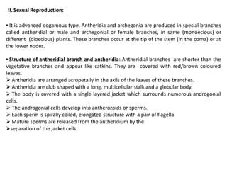 II. Sexual Reproduction:
• It is advanced oogamous type. Antheridia and archegonia are produced in special branches
called antheridial or male and archegonial or female branches, in same (monoecious) or
different (dioecious) plants. These branches occur at the tip of the stem (in the coma) or at
the lower nodes.
• Structure of antheridial branch and antheridia: Antheridial branches are shorter than the
vegetative branches and appear like catkins. They are covered with red/brown coloured
leaves.
 Antheridia are arranged acropetally in the axils of the leaves of these branches.
 Antheridia are club shaped with a long, multicellular stalk and a globular body.
 The body is covered with a single layered jacket which surrounds numerous androgonial
cells.
 The androgonial cells develop into antherozoids or sperms.
 Each sperm is spirally coiled, elongated structure with a pair of flagella.
 Mature sperms are released from the antheridium by the
separation of the jacket cells.
 