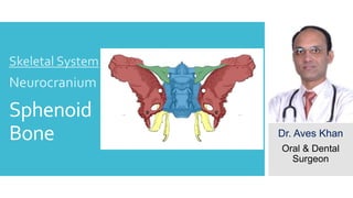 Sphenoid
Bone
Skeletal System
Neurocranium
Dr. Aves Khan
Oral & Dental
Surgeon
 