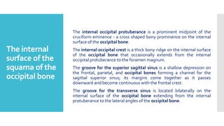 The internal
surface of the
squama of the
occipital bone
The internal occipital protuberance is a prominent midpoint of the
cruciform eminence - a cross shaped bony prominence on the internal
surface of the occipital bone.
The internal occipital crest is a thick bony ridge on the internal surface
of the occipital bone that occasionally extends from the internal
occipital protuberance to the foramen magnum.
The groove for the superior sagittal sinus is a shallow depression on
the frontal, parietal, and occipital bones forming a channel for the
sagittal superior sinus; its margins come together as it passes
downward and become continuous with the frontal crest.
The groove for the transverse sinus is located bilaterally on the
internal surface of the occipital bone extending from the internal
protuberance to the lateral angles of the occipital bone.
 