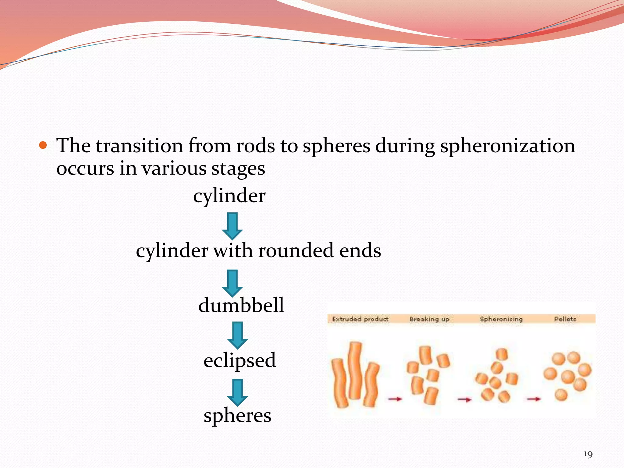  The transition from rods to spheres during spheronization 
occurs in various stages 
cylinder 
cylinder with rounded ends 
dumbbell 
eclipsed 
spheres 
19 
 